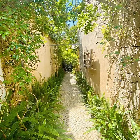 Alvorkitecenter Affittacamere